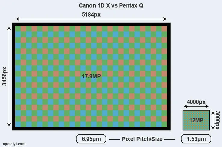 1DX versus Pentax Q MP
