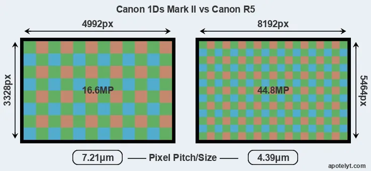 1Ds Mark II versus R5 MP