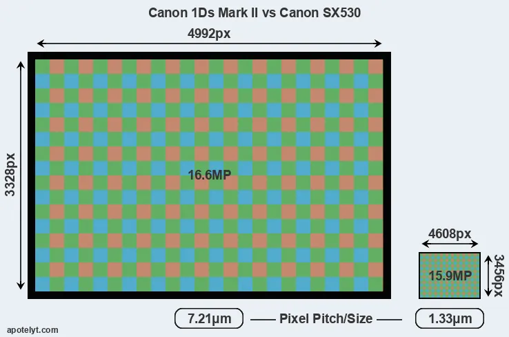 1Ds Mark II versus SX530 MP