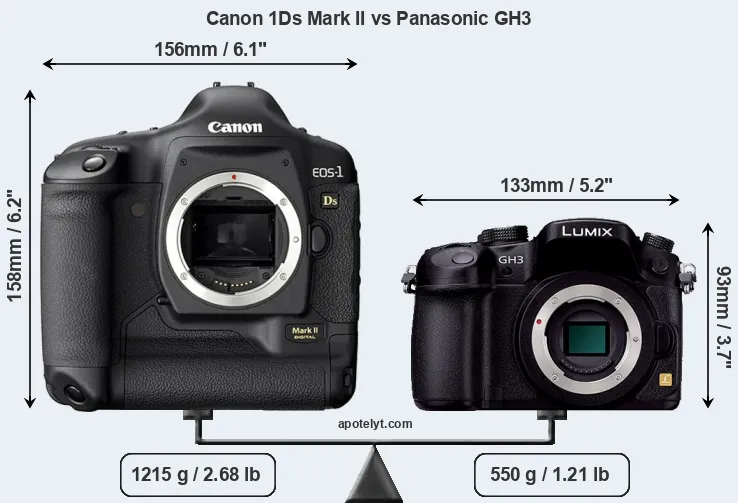 Size Canon 1Ds Mark II vs Panasonic GH3