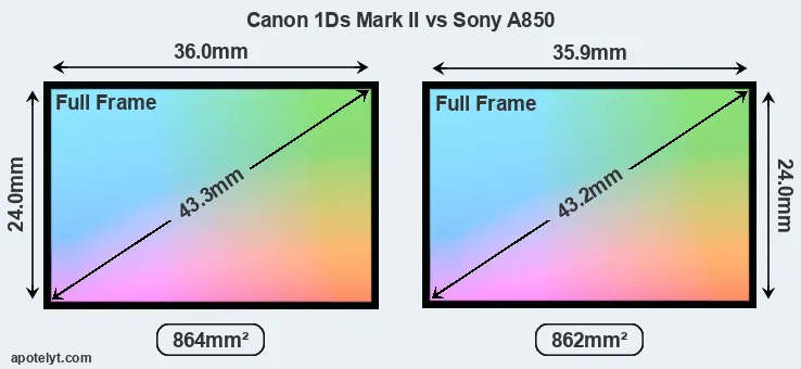 Canon 1Ds Mark II and Sony A850 sensor measures