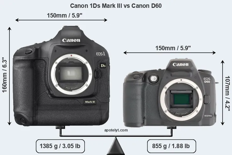 Size Canon 1Ds Mark III vs Canon D60