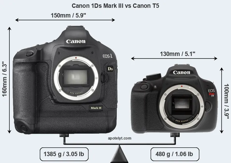 Size Canon 1Ds Mark III vs Canon T5