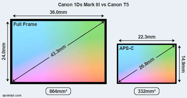 Canon 1Ds Mark III and Canon T5 sensor measures