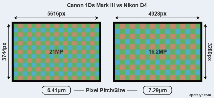 1Ds Mark III versus D4 MP
