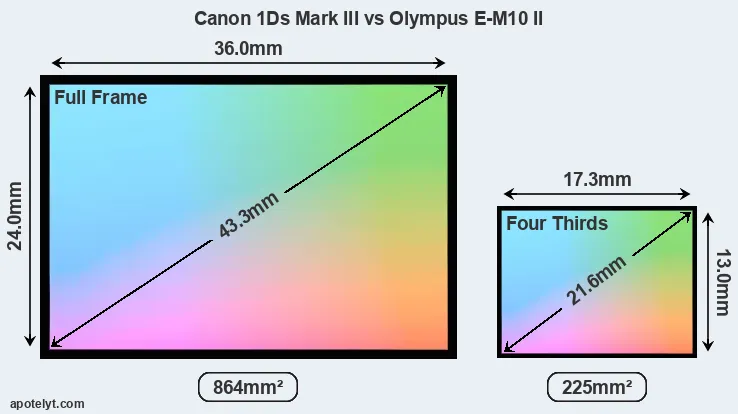 Canon 1Ds Mark III and Olympus E-M10 II sensor measures