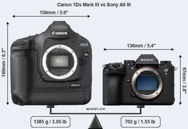 Size Canon 1Ds Mark III vs Sony A9 III