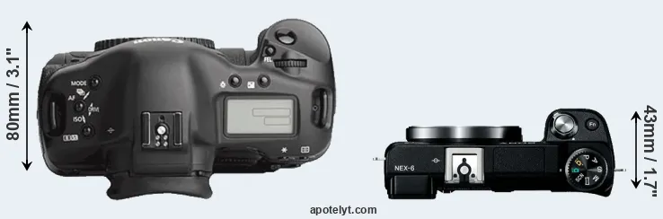 Compare 1Ds Mark III versus NEX-6 top