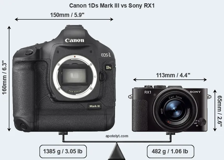 Size Canon 1Ds Mark III vs Sony RX1