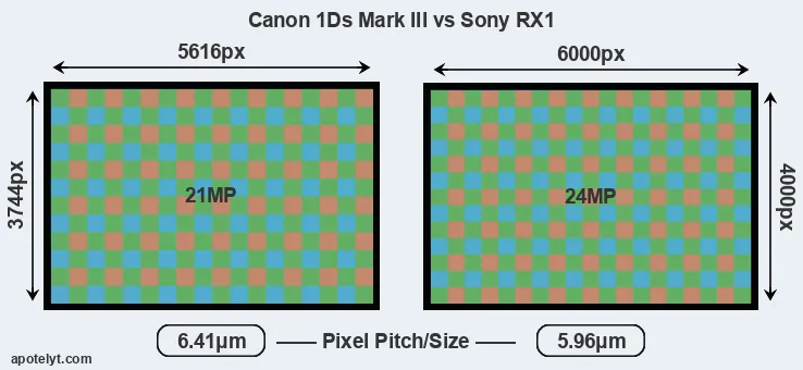 1Ds Mark III versus RX1 MP