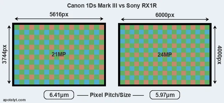 1Ds Mark III versus RX1R MP