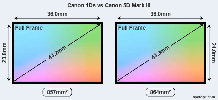 Canon 1Ds and Canon 5D Mark III sensor measures