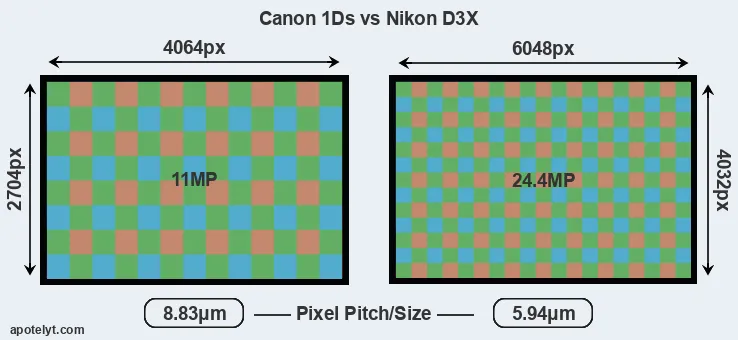 1Ds versus D3X MP