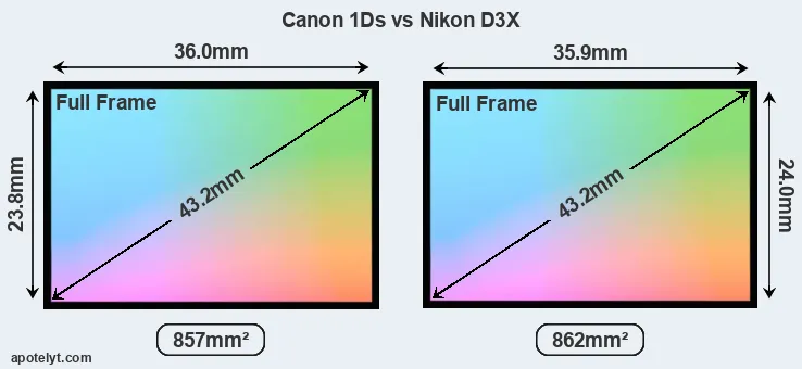 Canon 1Ds and Nikon D3X sensor measures
