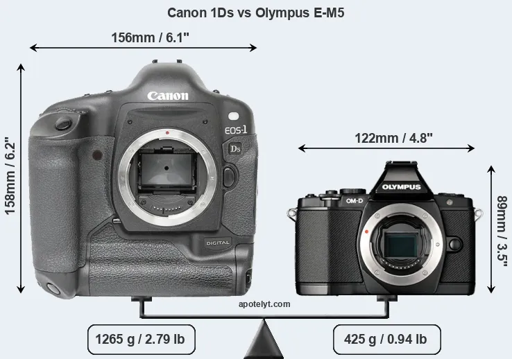 Size Canon 1Ds vs Olympus E-M5