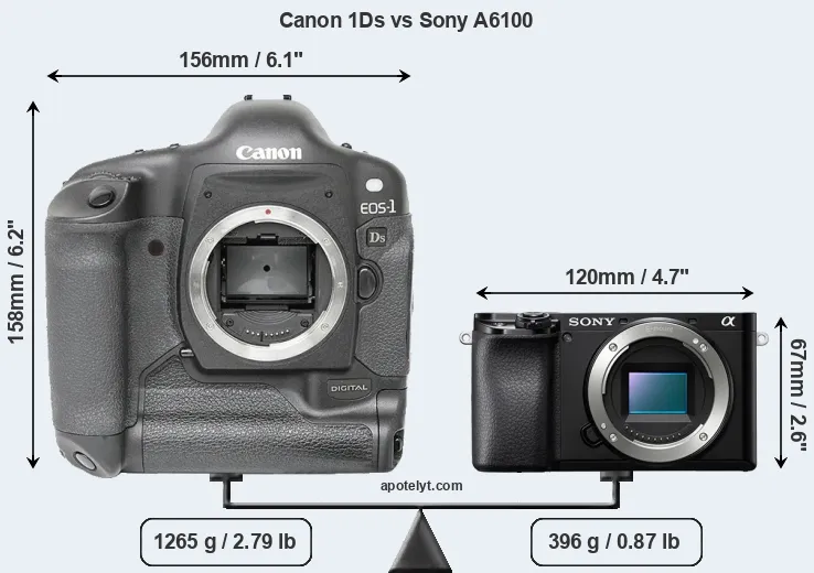 Size Canon 1Ds vs Sony A6100