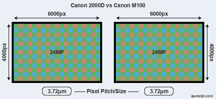 2000D versus M100 MP