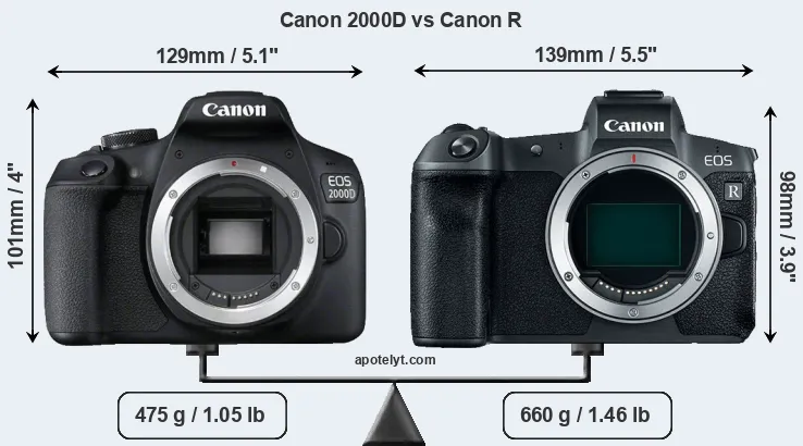 Size Canon 2000D vs Canon R