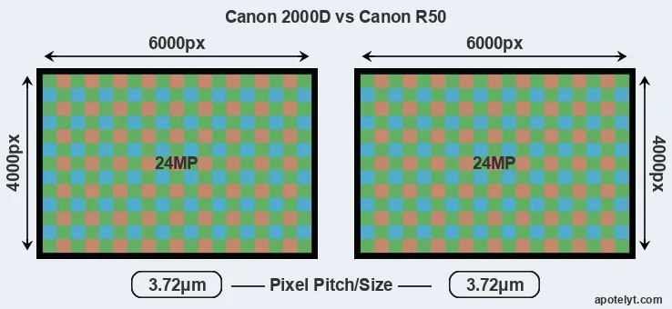 2000D versus R50 MP