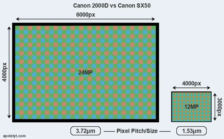 2000D versus SX50 MP