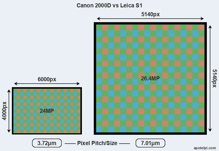 2000D versus S1 MP