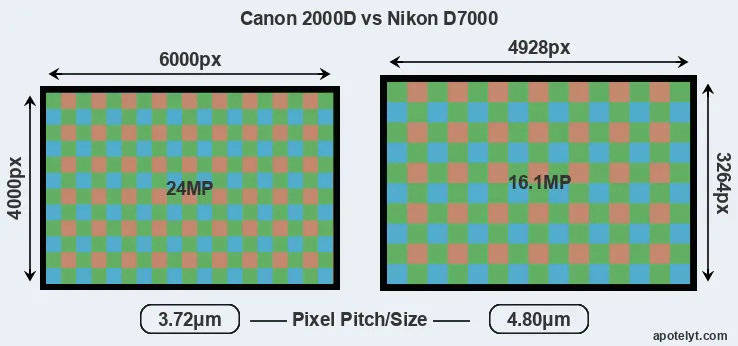 2000D versus D7000 MP