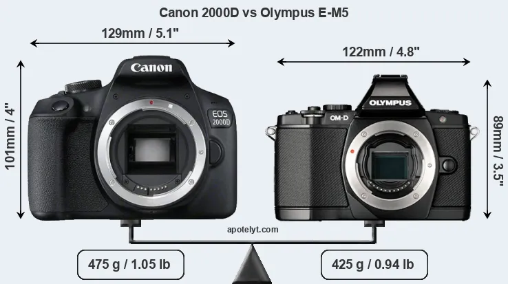 Size Canon 2000D vs Olympus E-M5