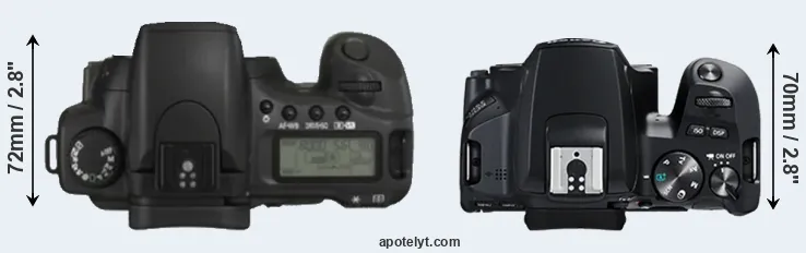 Compare 20D versus 250D top