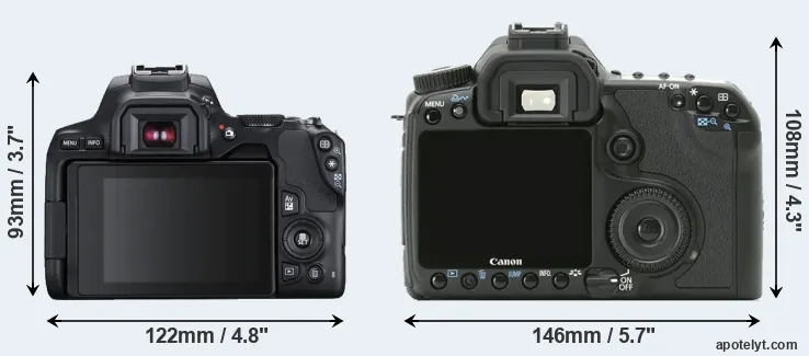 Comparison 250D or 40D rear
