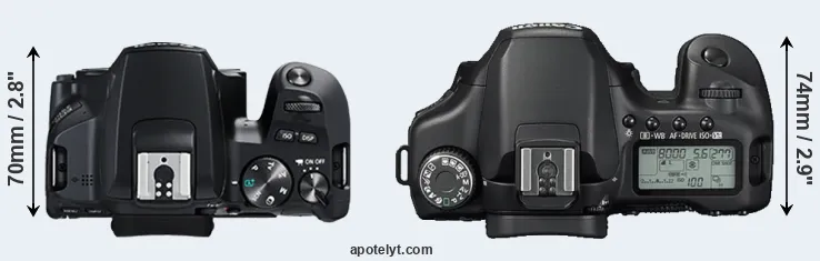 Compare 250D versus 40D top