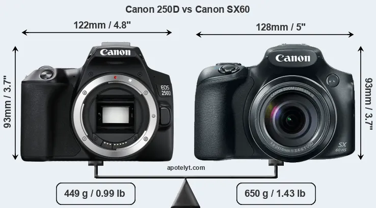 Size Canon 250D vs Canon SX60