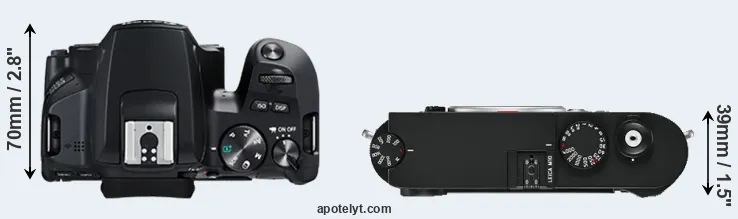 Compare 250D versus M10 top