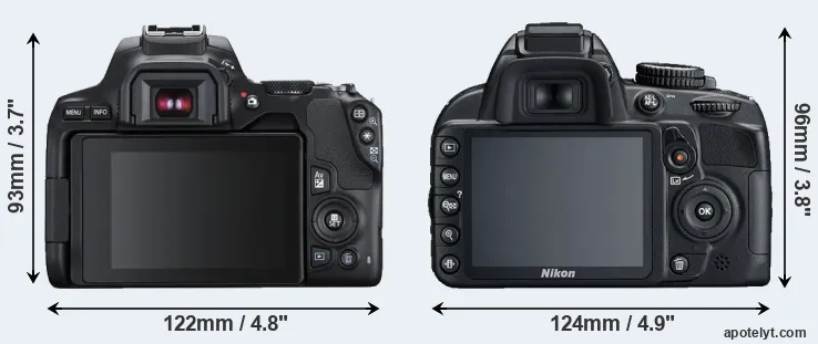 Comparison 250D or D3100 rear