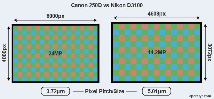 250D versus D3100 MP