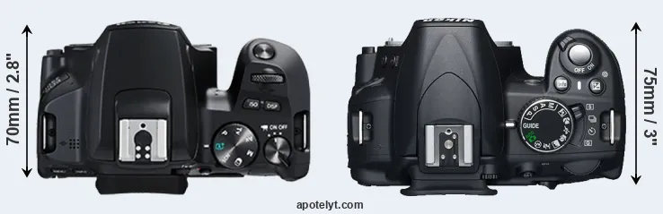 Compare 250D versus D3100 top
