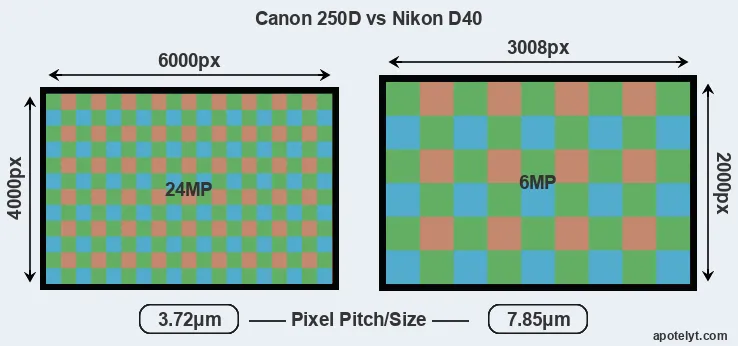 250D versus D40 MP