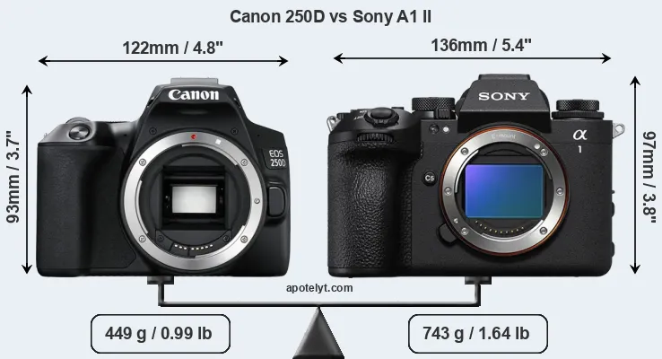 Size Canon 250D vs Sony A1 II