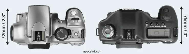 Compare 300D versus 5D top