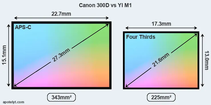 Canon 300D and YI M1 sensor measures