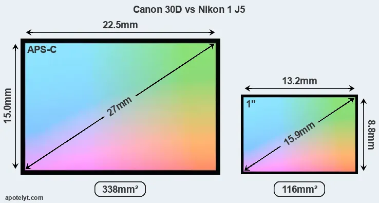Canon 30D and Nikon 1 J5 sensor measures