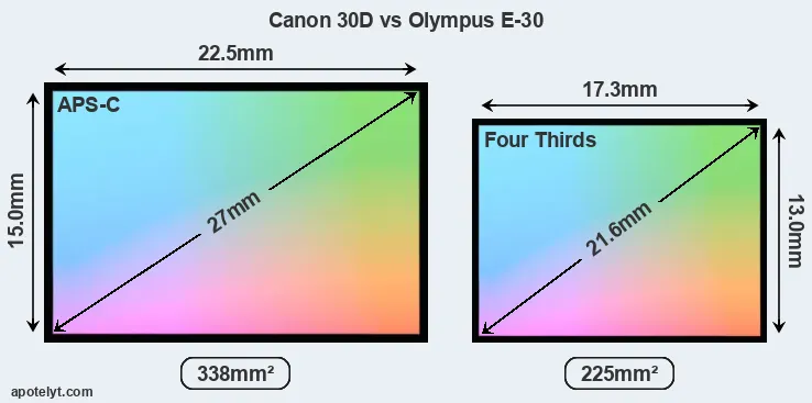 Canon 30D and Olympus E-30 sensor measures