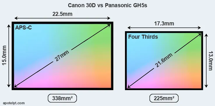 Canon 30D and Panasonic GH5s sensor measures