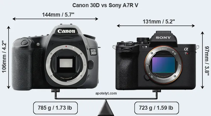 Size Canon 30D vs Sony A7R V