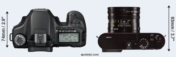 Compare 40D versus Q Typ 116 top