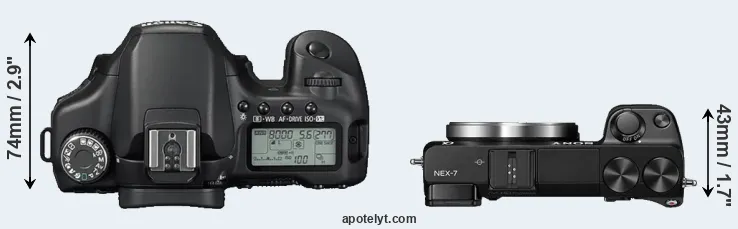 Compare 40D versus NEX-7 top