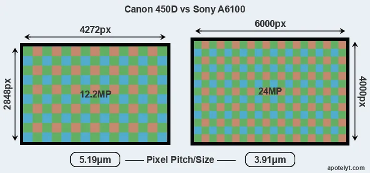 450D versus A6100 MP