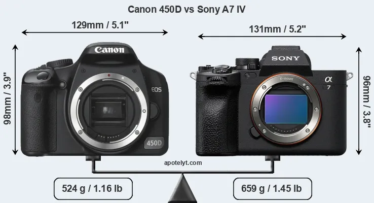 Size Canon 450D vs Sony A7 IV