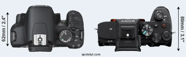 Compare 450D versus A7 IV top