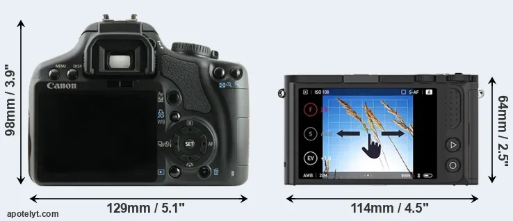 Comparison 450D or M1 rear