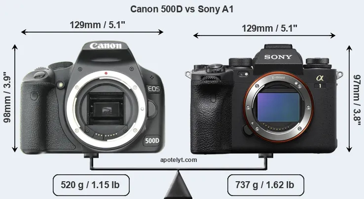 Size Canon 500D vs Sony A1